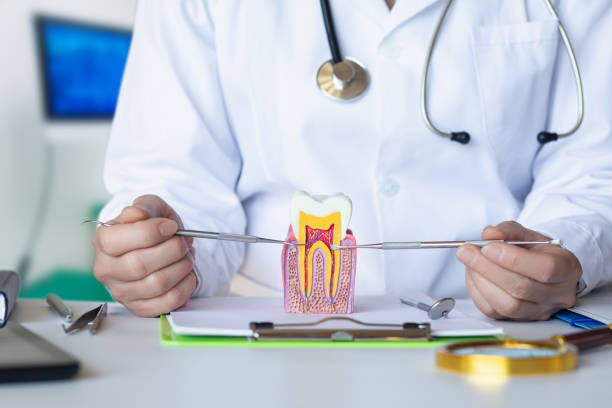 Best Tooth Infection Emergency Dentist  in Cabana Colony, FL